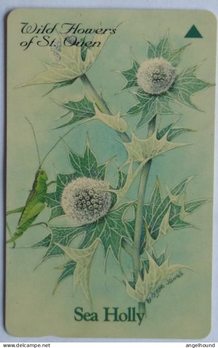 Jersey £2  GPT 40JERC - Sea Holly - [ 7] Jersey Und Guernsey