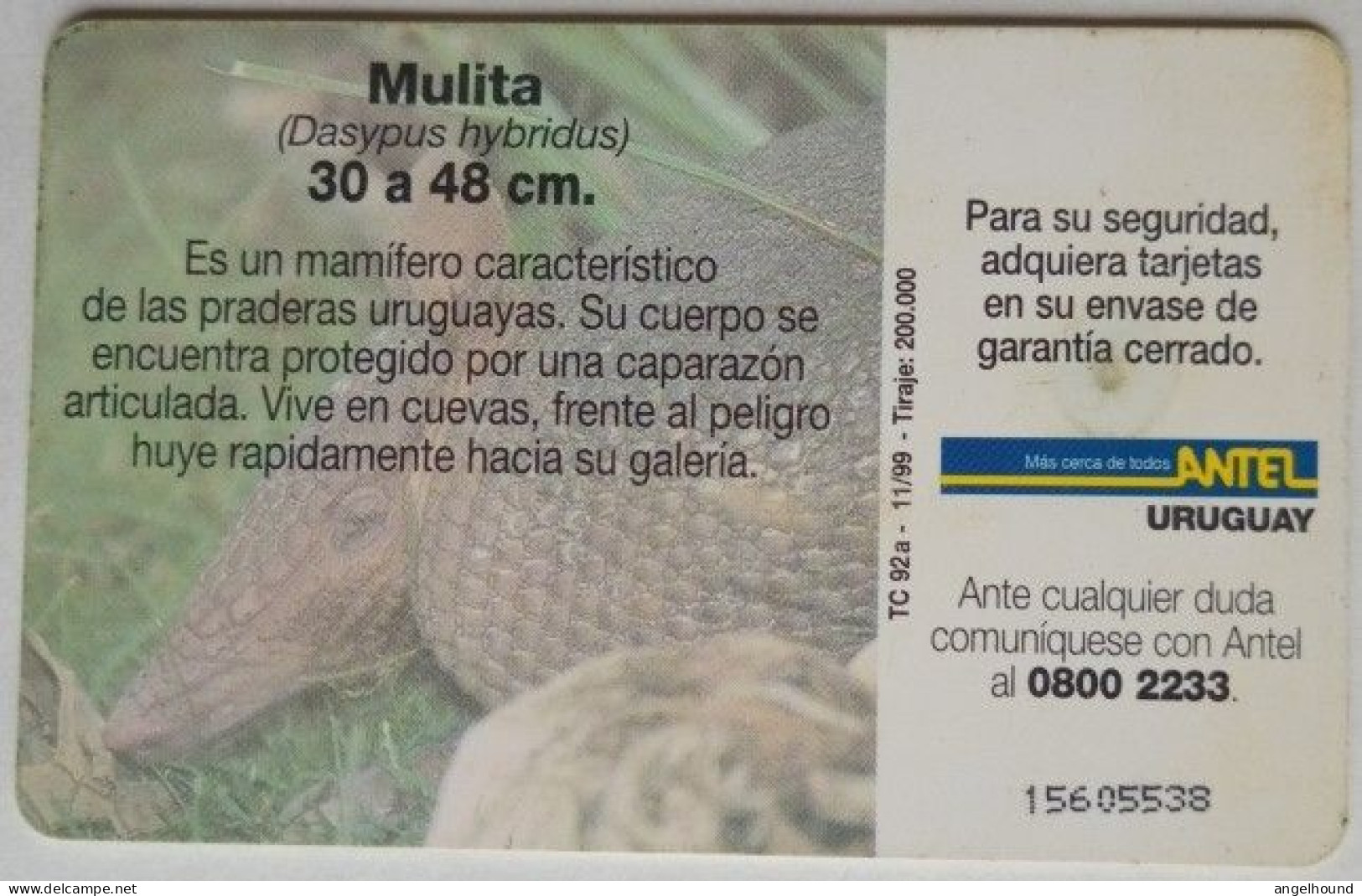 Uruguay Antel $5 Chip Card - Mulita - Uruguay