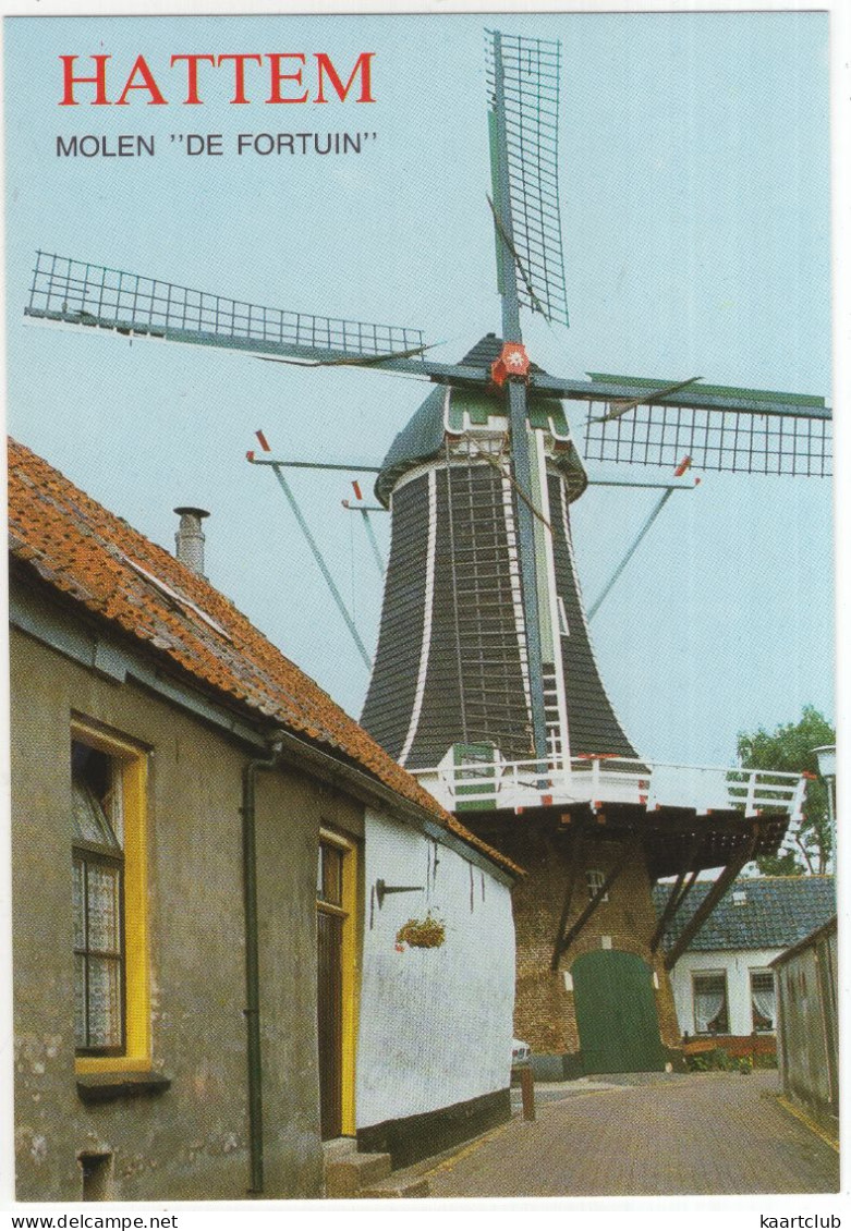 Hattem - Molen 'De Fortuin' - (Nederland/Holland) - Moulin/Mühle/Moulin/Mill - Hattem