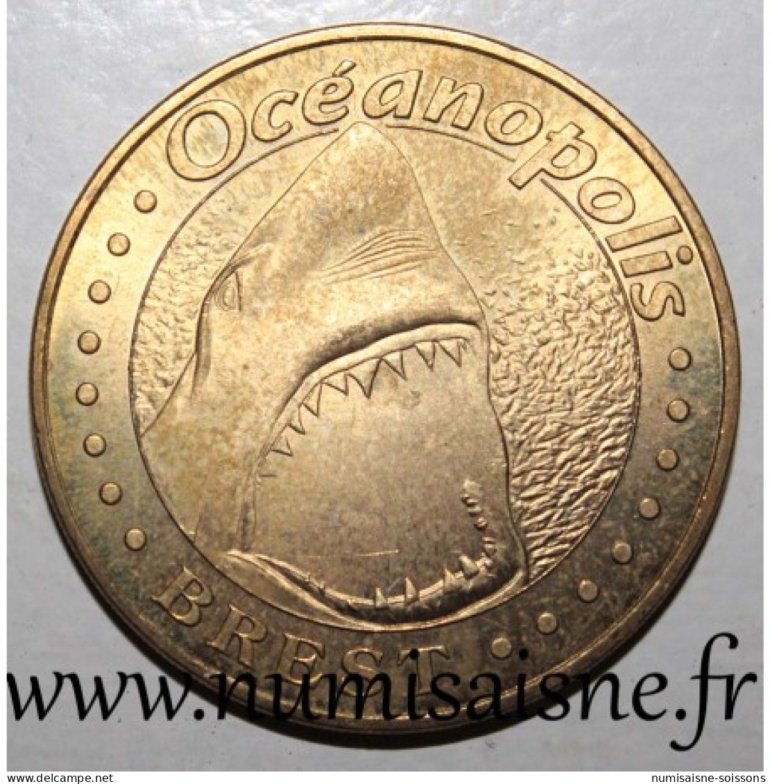 29 - BREST - OCEANOPOLIS - REQUIN BLANC - MDP - 2006 - 2006