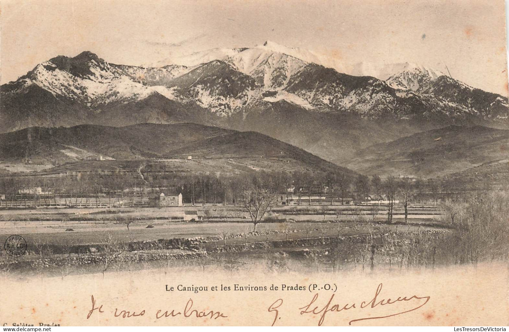 FRANCE - Les Environs De Prades - Le Canigou - Carte Postale Ancienne - Prades