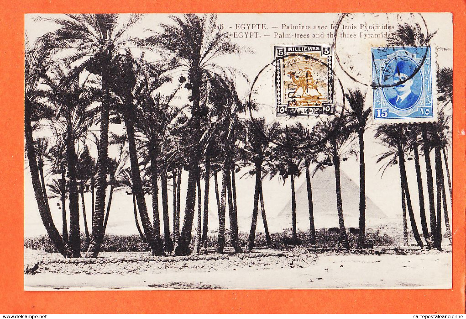 27221 / ⭐ EGYPTE Palmiers Avec Les Trois Pyramides EGYPT Palm-trees And 3 Pyramids PORT-SAID Traffic 1920 BEHAR Fils 245 - Pyramides