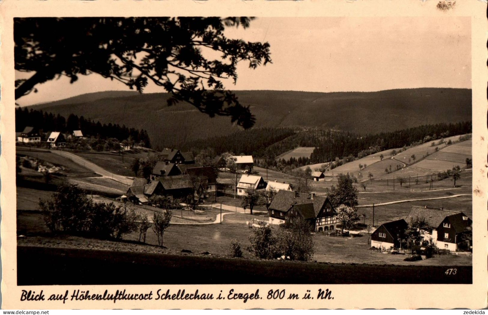 H0659 - Schellerhau - W. Kenne - Schellerhau