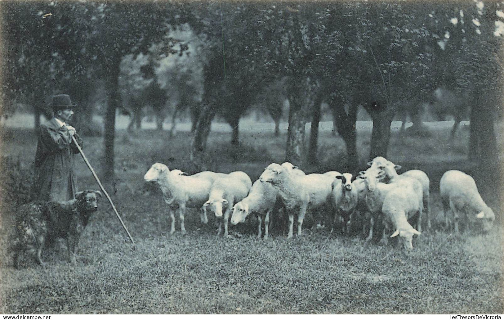 METIERS - Le Berger Avec Ses Troupes De Moutons - Carte Postale Ancienne - Altri & Non Classificati