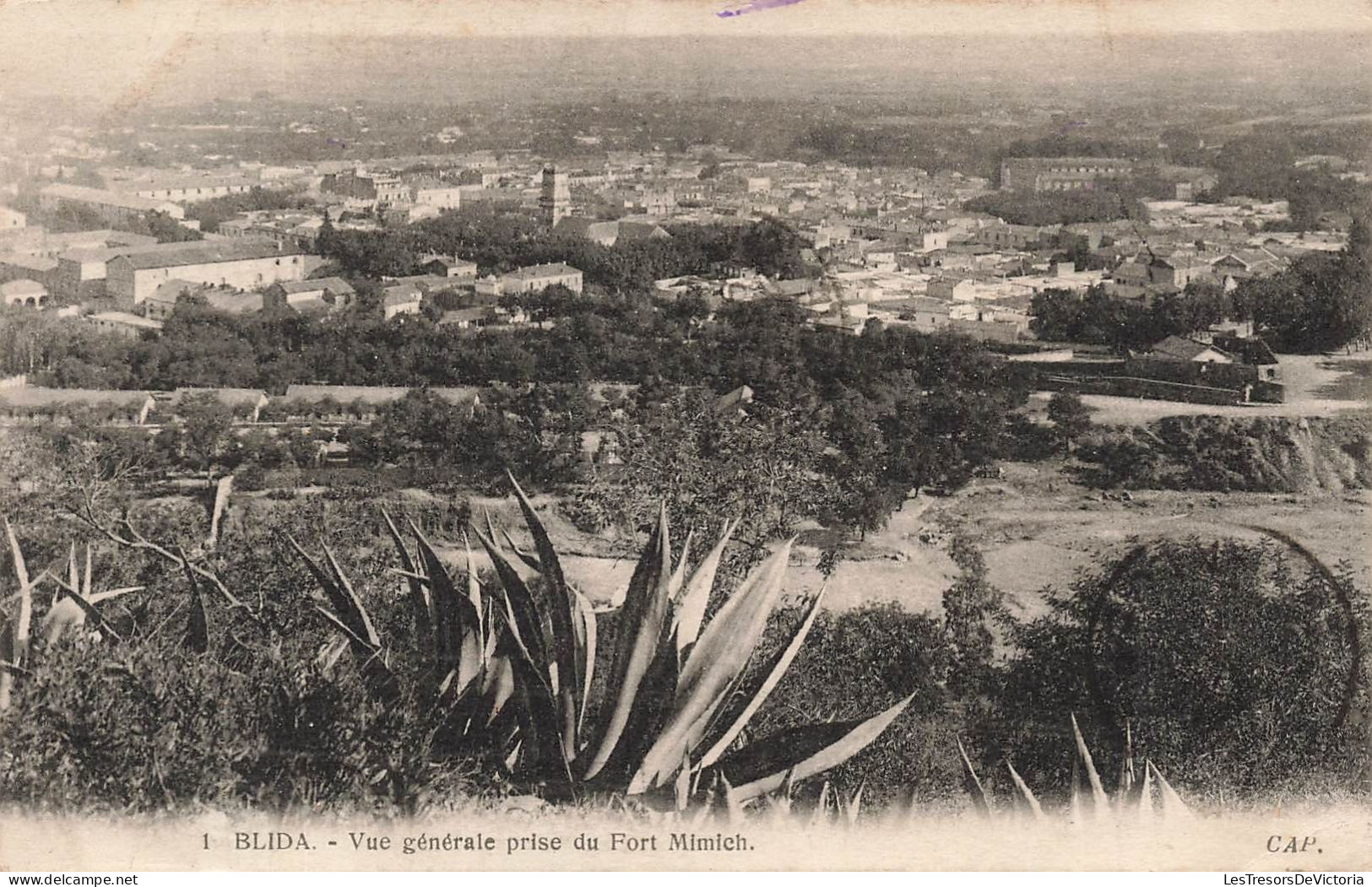 ALGERIE - Blida - Vue Générale Prise Du Fort Mimich - Carte Postale Ancienne - Blida