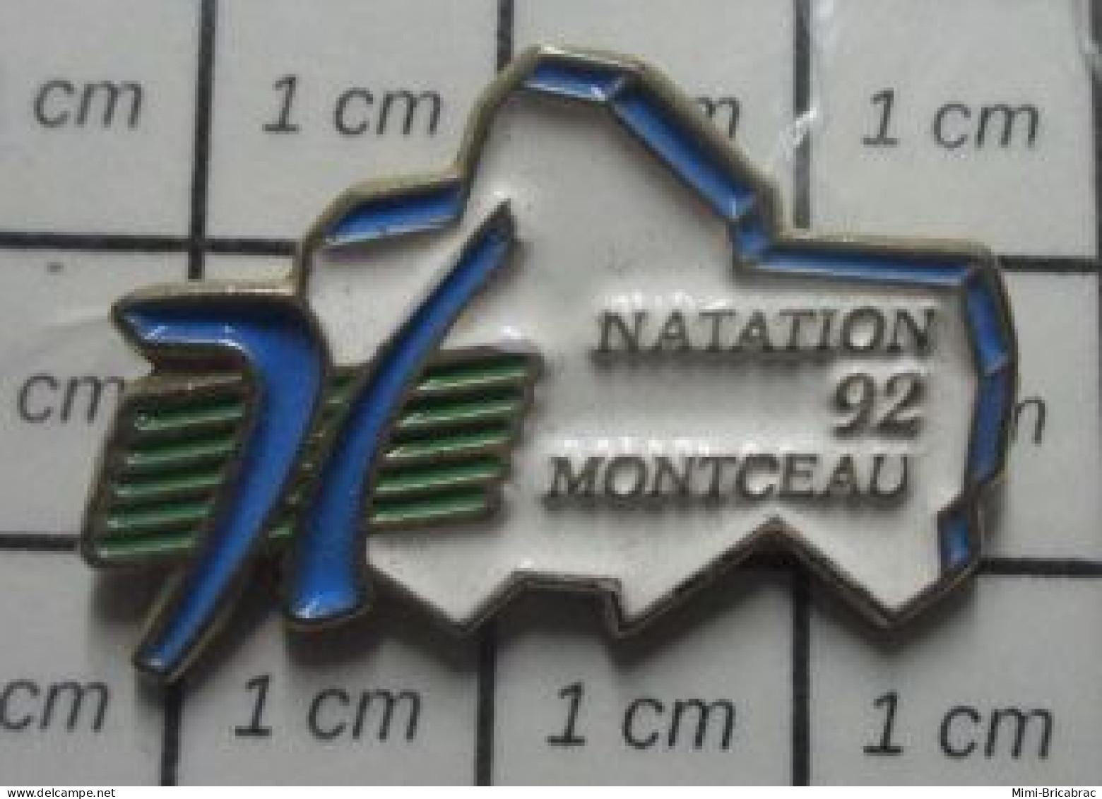 713L Pin's Pins / Beau Et Rare / SPORTS / NATATION CLUB MONTCEAU-CISSON 92 - Schwimmen