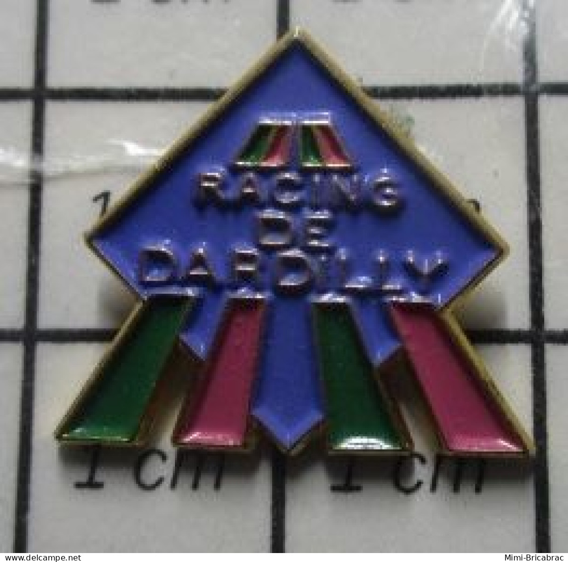 713L Pin's Pins / Beau Et Rare / SPORTS / CLUB CYCLISME ? RACING DE DARDILLY - Cycling