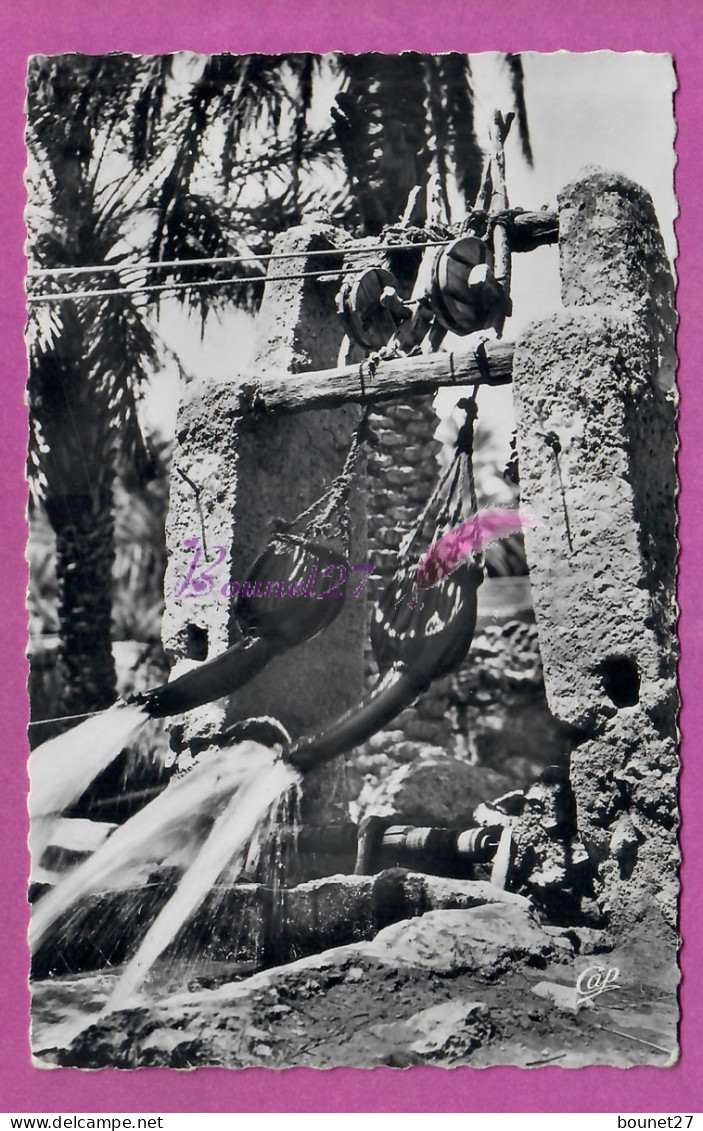 CPSM ALGERIE - GHARDAIA - 14. Un Puits Vidange De L'eau Dans Le Bassin Voyagé 1956 - Ghardaïa