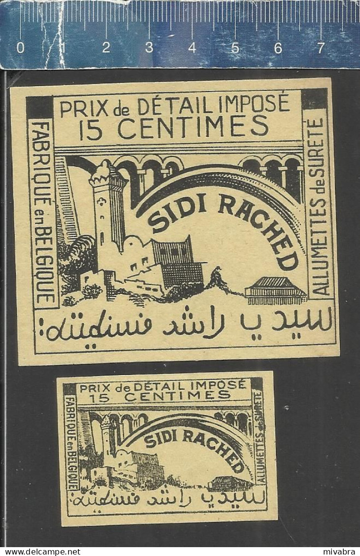 SIDI RACHED - FABRIQUÉ EN BELGIQUE -  OLD MATCHBOX LABELS MADE IN BELGIUM - Boites D'allumettes - Etiquettes