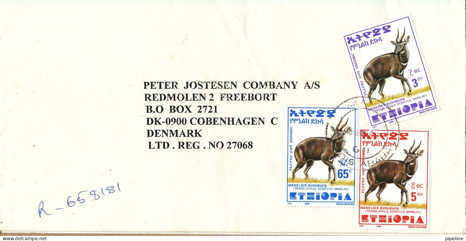 Ethiopia Registered Cover Sent To Denmark 10-9-2002 Topic Stamps (sent From The Libyan People's Bureau Addis Ababa) - Etiopia