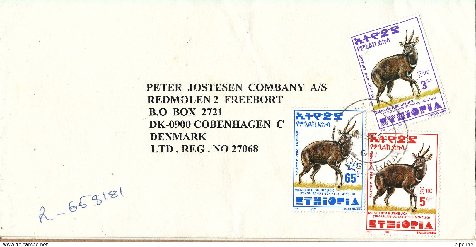 Ethiopia Registered Cover Sent To Denmark 10-9-2002 Topic Stamps (sent From The Libyan People's Bureau Addis Ababa) - Ethiopia