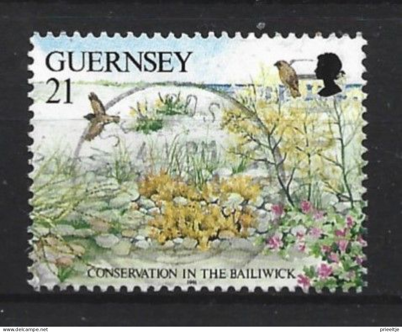 Guernsey 1991 Nature  Y.T. 541 (0) - Guernesey