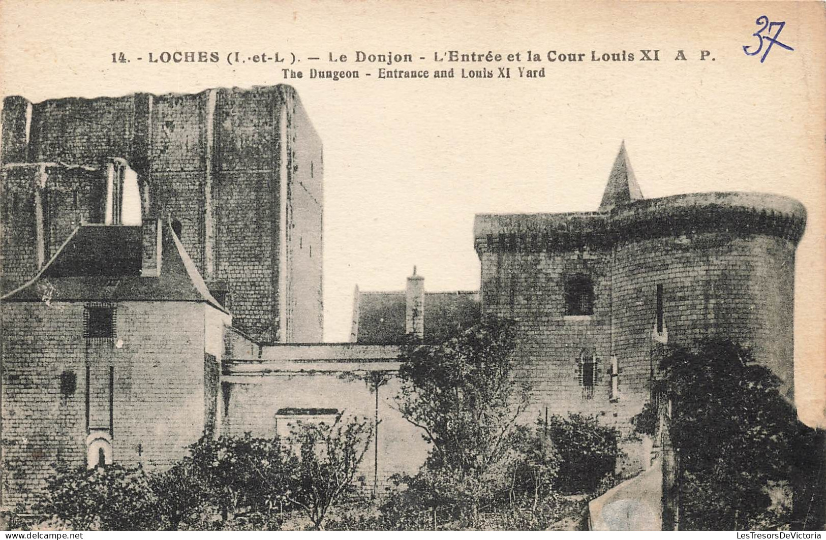 FRANCE - Loches (I Et L) - Vue Générale - Le Donjon - L'entrée Et La Cour Louis XI - A P - Carte Postale Ancienne - Loches