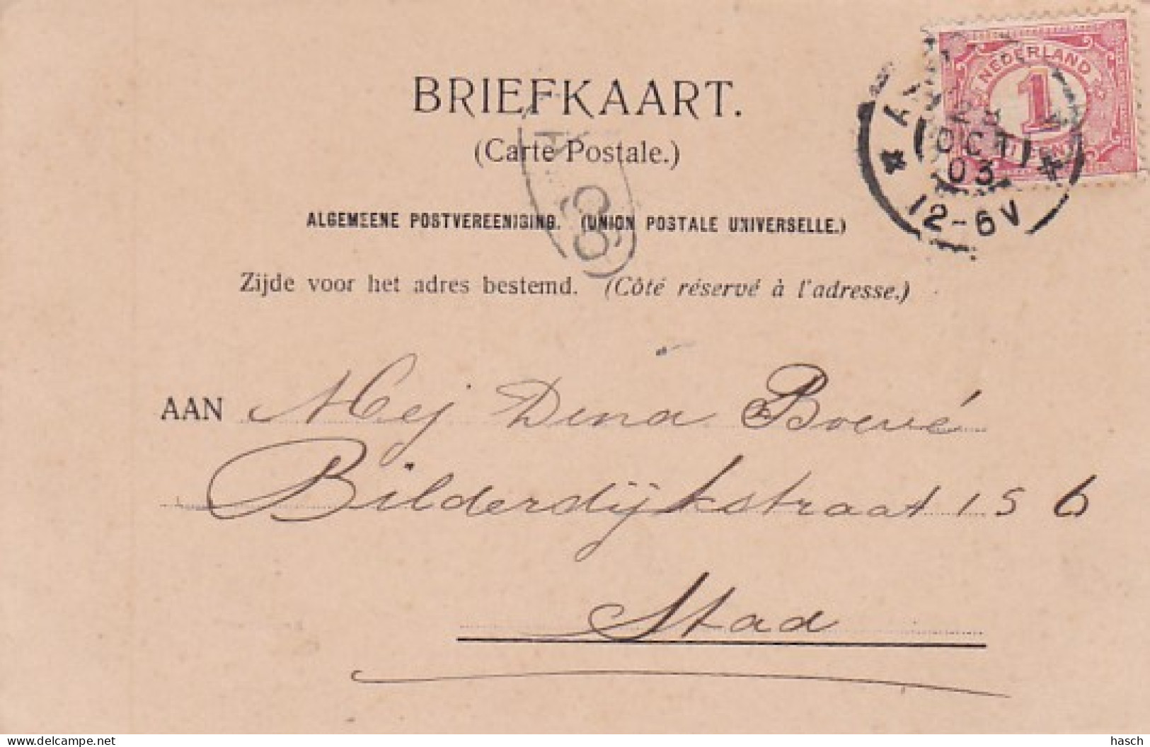 1850	387	Arnhem, Sonsbeek (poststempel 1903) - Arnhem