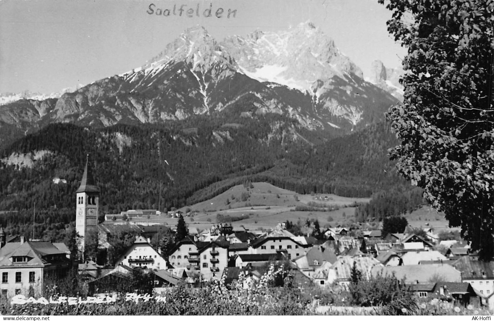 Saalfelden Steinerne Meer Panorama (1244) - Saalfelden