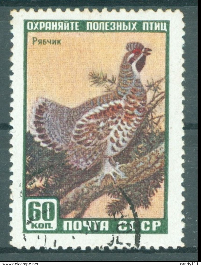 1959 Hazel Grouse (Tetrastes Bonasia),wild Animals/birds,Russia,2309,CTO/VFU - Gallináceos & Faisanes