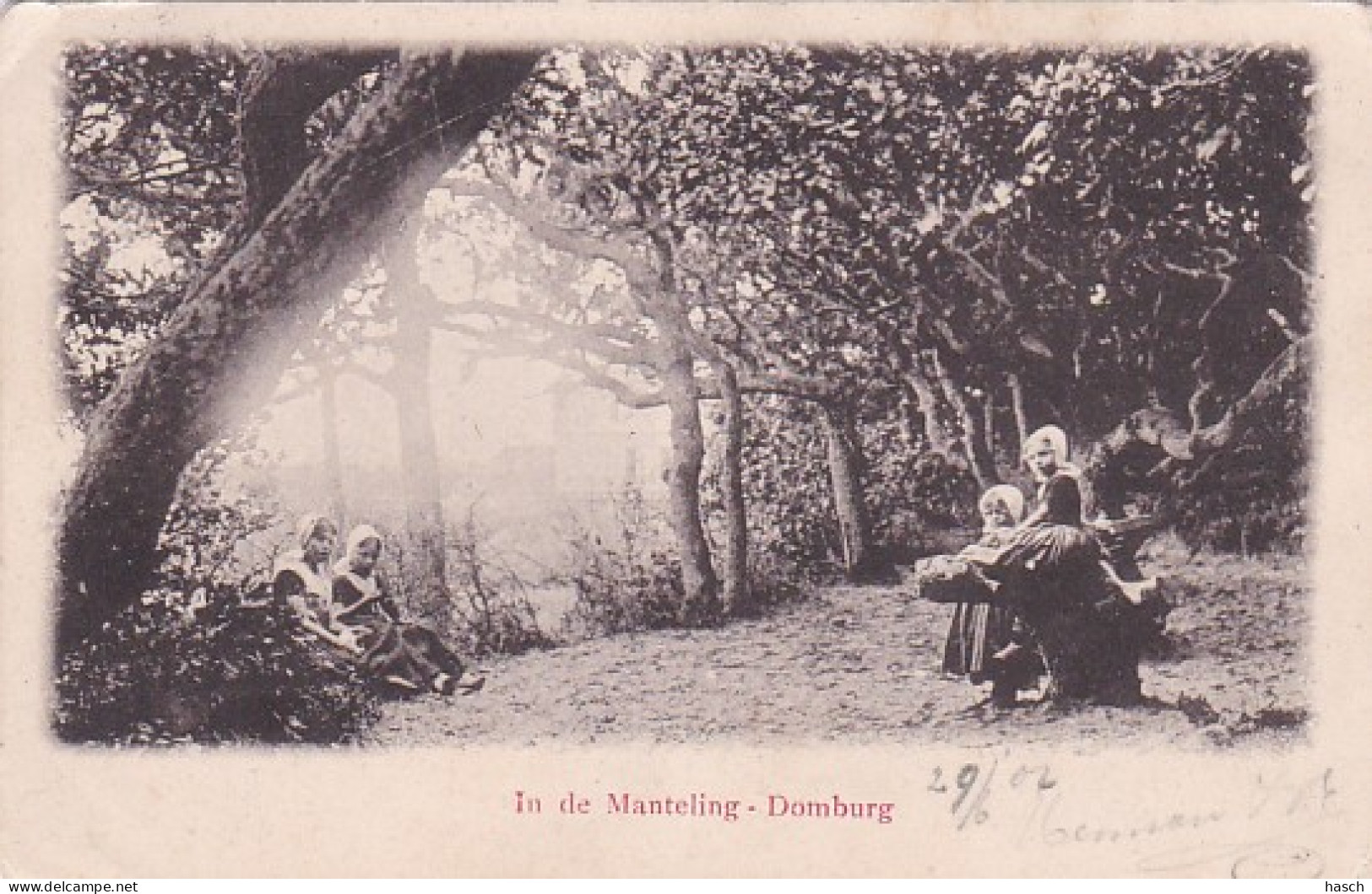 26038Domburg, In De Manteling (poststempel 1902)(zie Hoeken) - Domburg