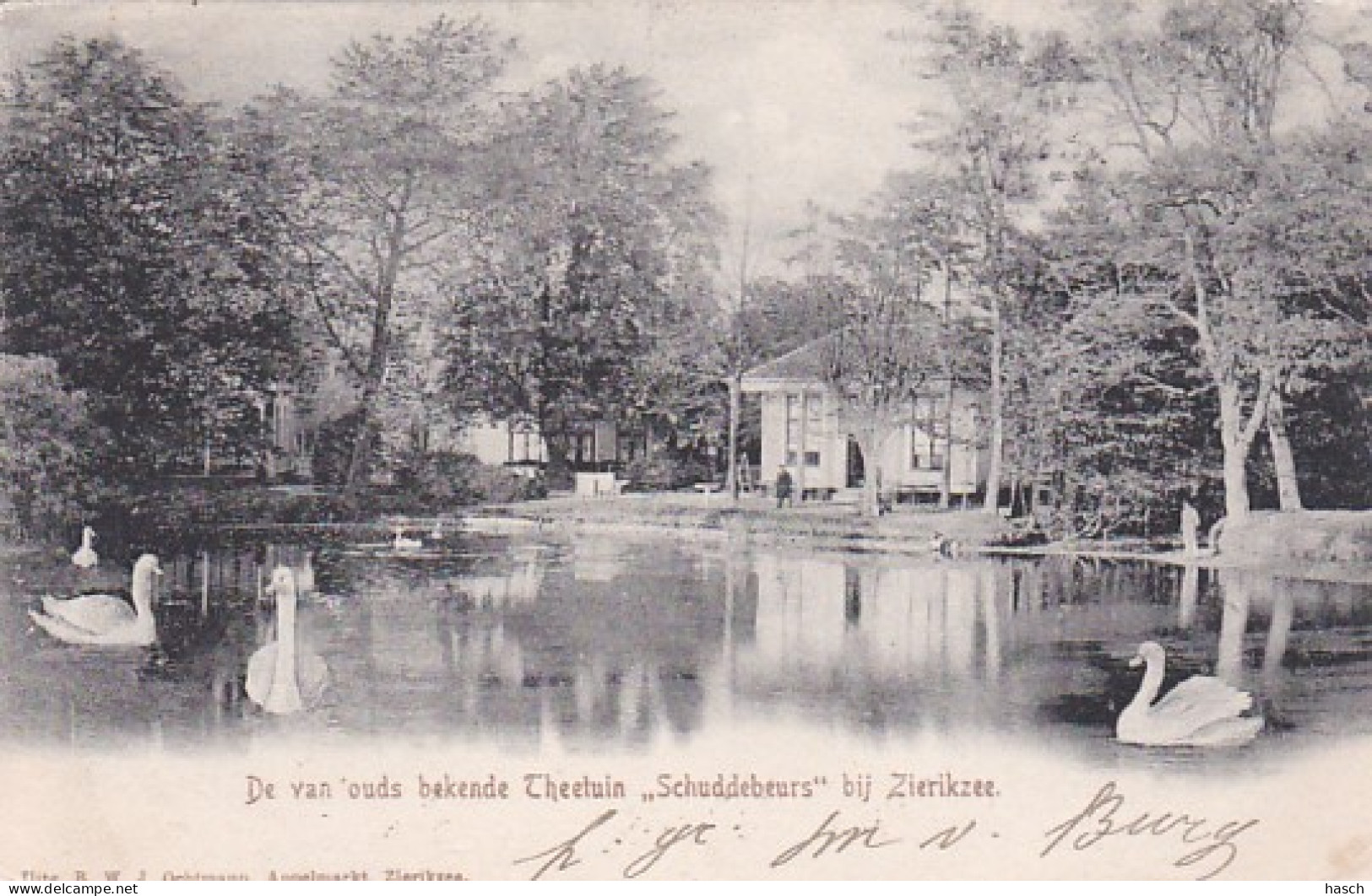 260358Zierikzee, De Van Ouds Bekende Theetuin ,,Schuddebeurs’’ (poststempel 1905)(vouw Zie Achterkant) - Zierikzee