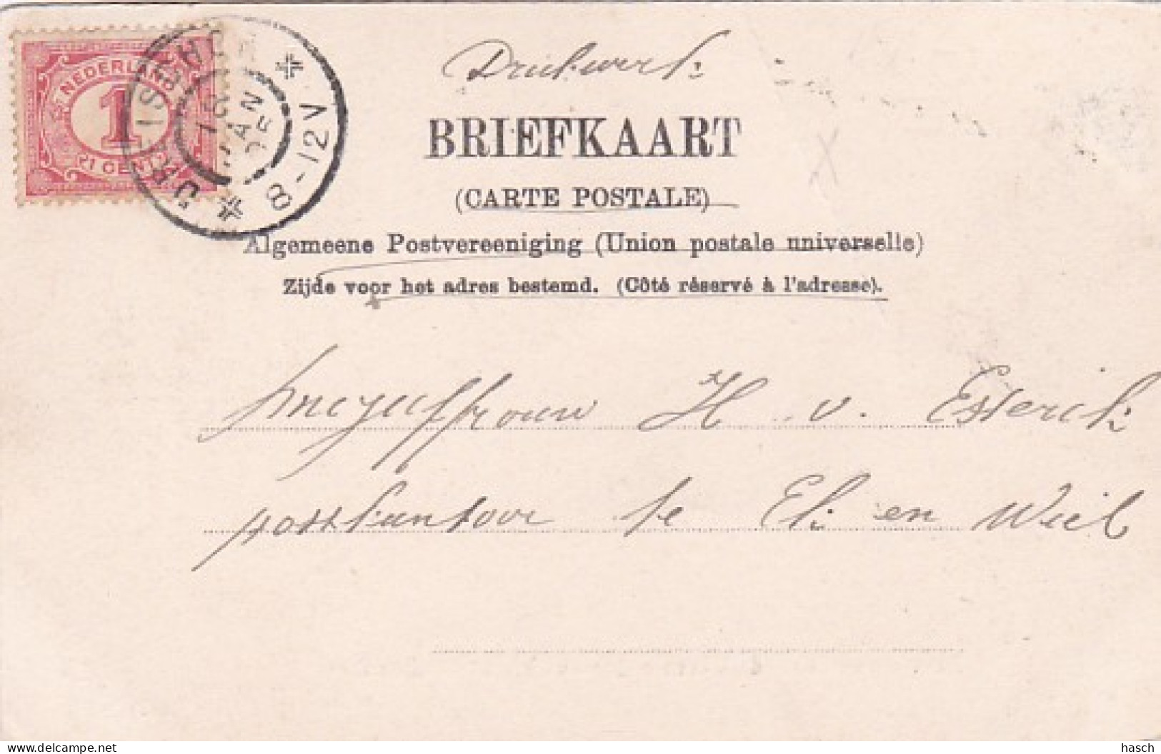 260358Zierikzee, De Van Ouds Bekende Theetuin ,,Schuddebeurs’’ (poststempel 1905)(vouw Zie Achterkant) - Zierikzee