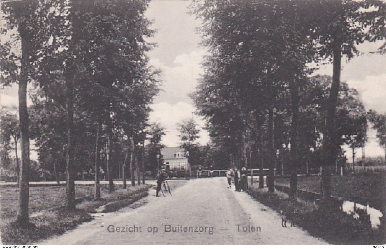 2603110Tolen, Gezicht Op Buitenzorg – 1910 - Tholen