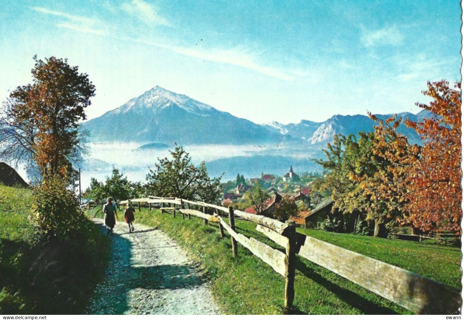 Suisse - Carte Postale - Sigriswil (Thunersee) Mit Dem Niesen - Sigriswil