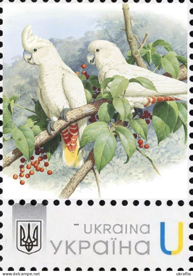 Ukraine 2023, Fauna, Birds, Parrots, 1v - Ukraine