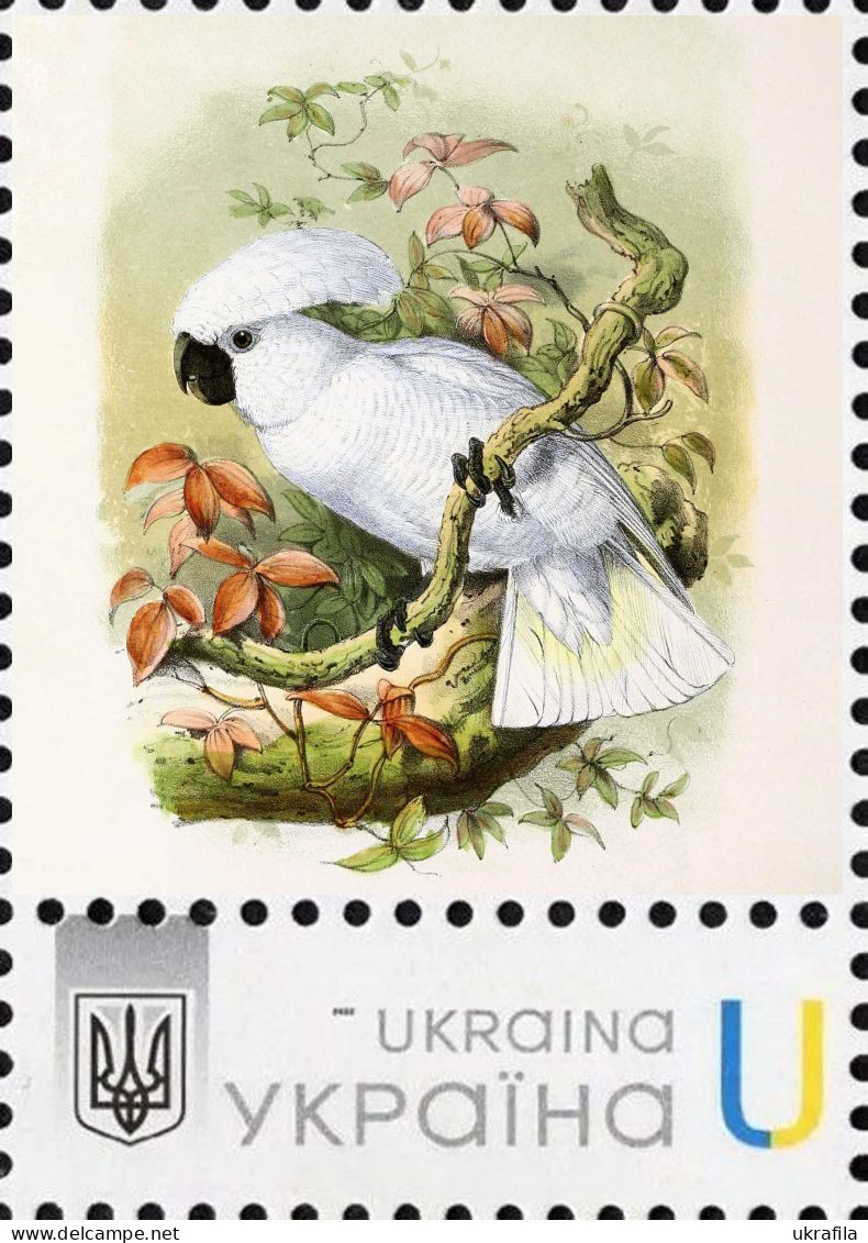 Ukraine 2023, Fauna, Birds, Parrots, 1v - Ukraine