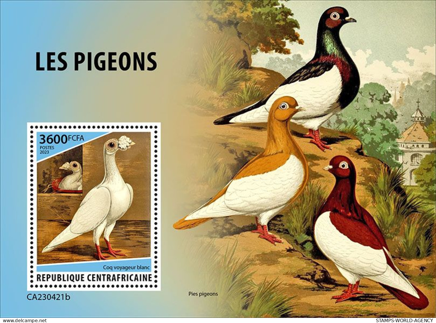 2024-02 - CENTRAL AFRICAN- PIGEONS           1V  MNH** - Columbiformes