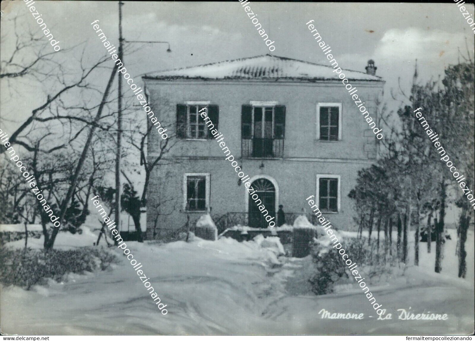 Bv685 Cartolina Mamone La Direzione Provincia Di Nuoro Sardegna - Nuoro