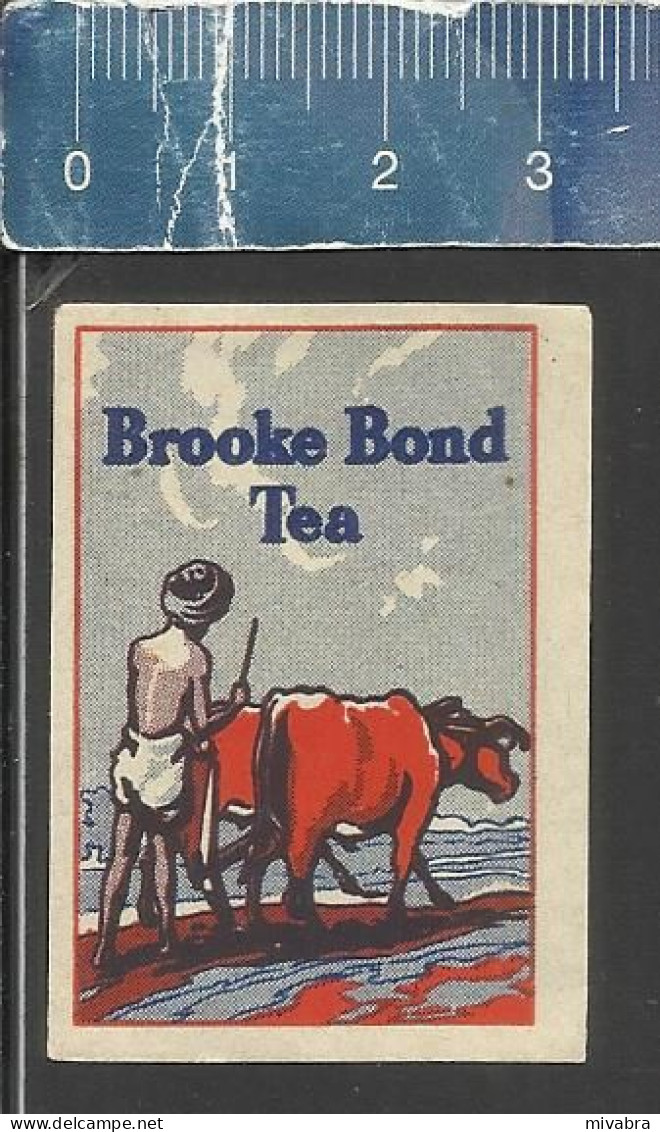 BROOKE BOND TEA ( THEE ) -  OLD MATCHBOX LABEL MADE IN BELGIUM - Boites D'allumettes - Etiquettes