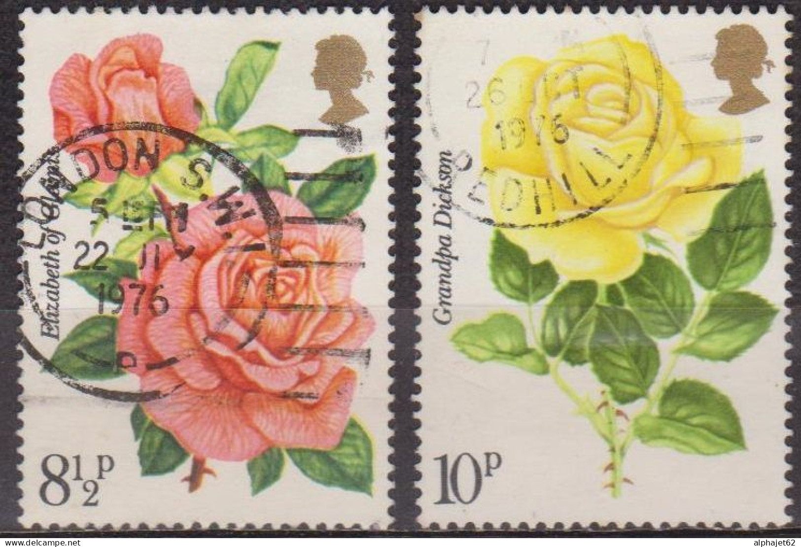 Flore - Fleurs - GRANDE BRETAGNE - Roses - N° 795-796 - 1976 - Used Stamps