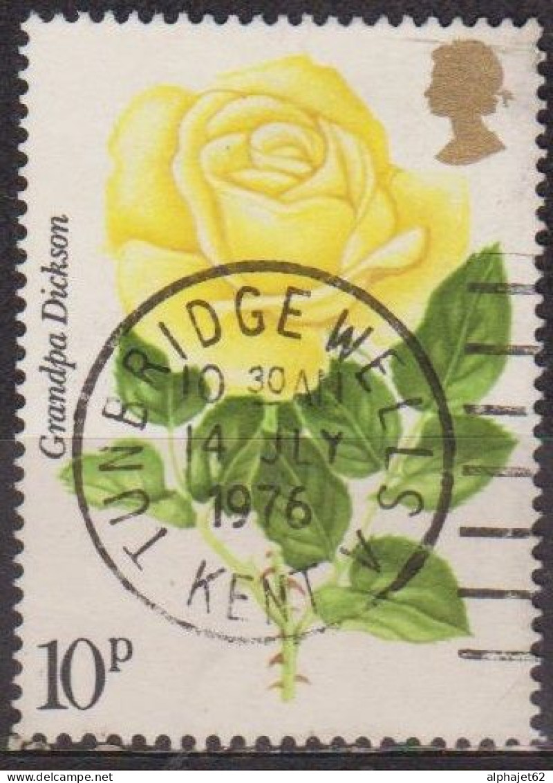 Flore - Fleurs - GRANDE BRETAGNE - Rose Grandpa Dickson - N° 796 - 1976 - Used Stamps