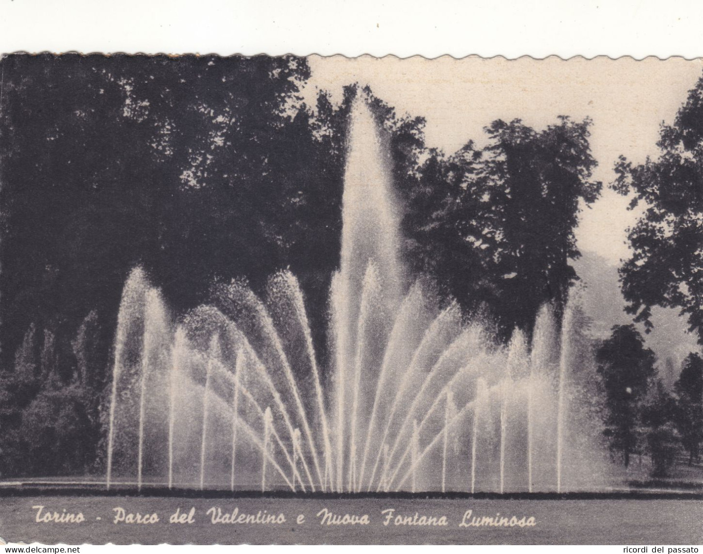 Cartolina Torino - Parco Del Valentino - Nuova Fontana Luminosa - Parchi & Giardini