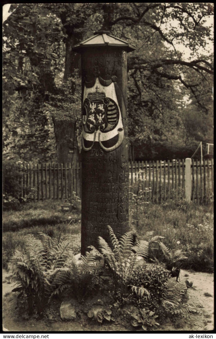 Ansichtskarte Dahlen Jägereiche Im Volkspark Zur DDR-Zeit 1963/1960 - Dahlen