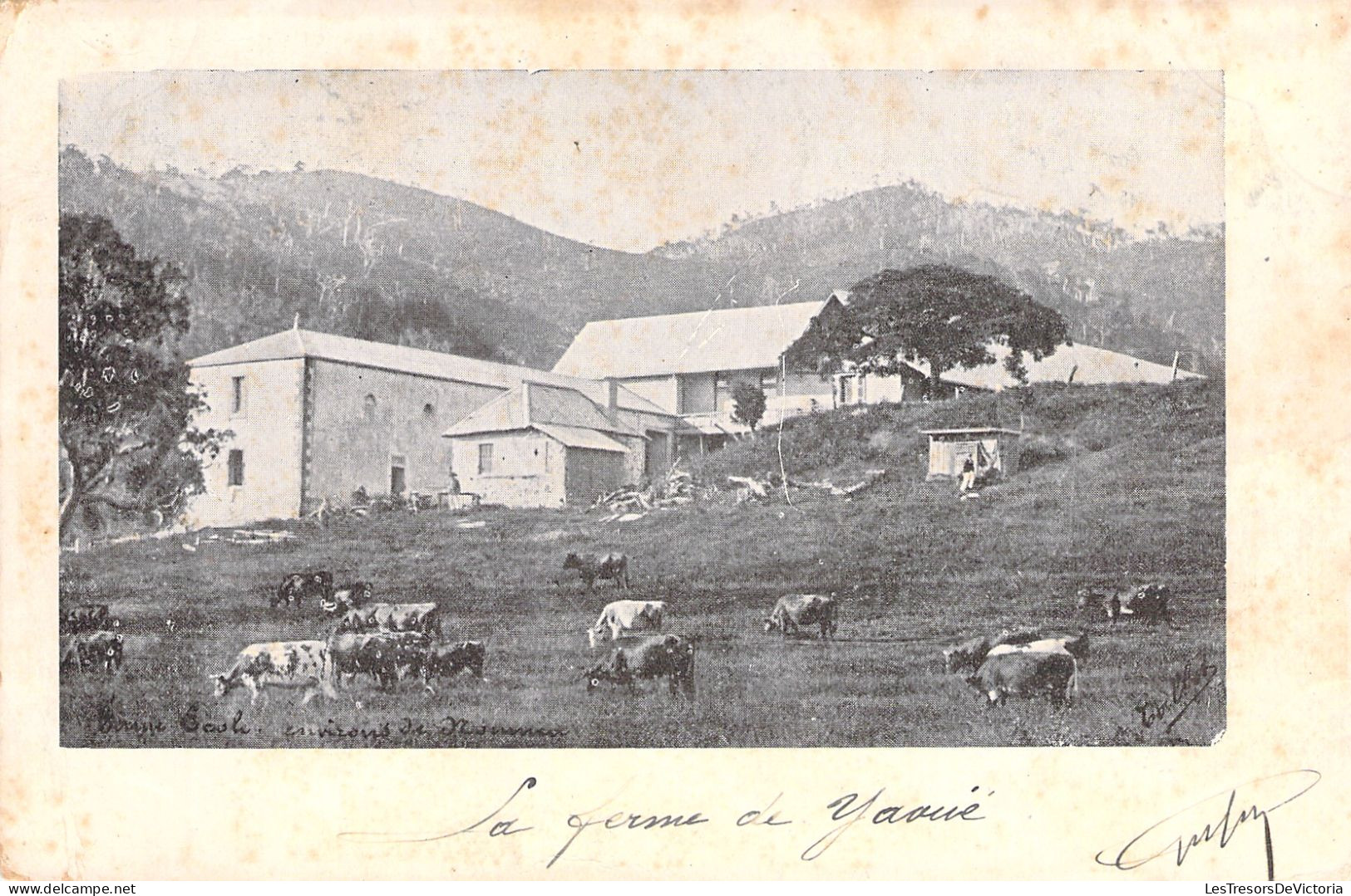 Nouvelle Calédonie - Ferme école De Yahoué - Environs De Noumea -  Carte Postale Ancienne - Nuova Caledonia