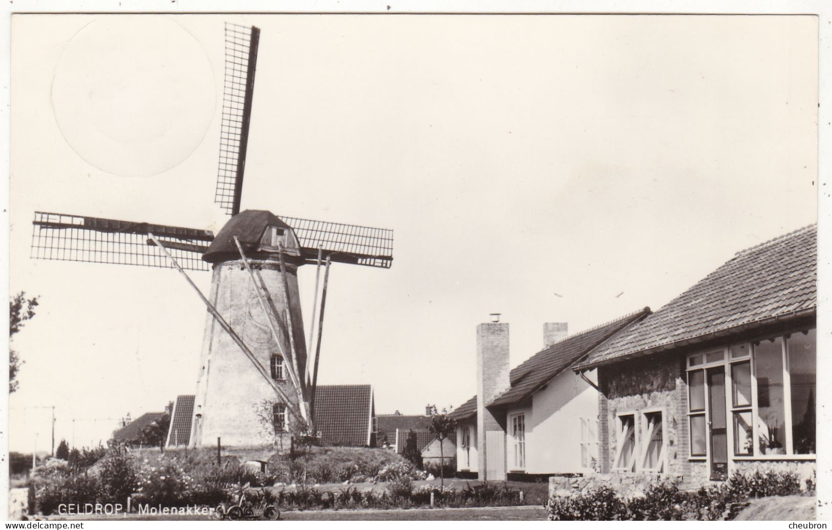 PAYS BAS. GELDROP. MOLENAKKER. MOULIN A VENT. ANNEE 1974 + TEXTE + TIMBRE - Geldrop