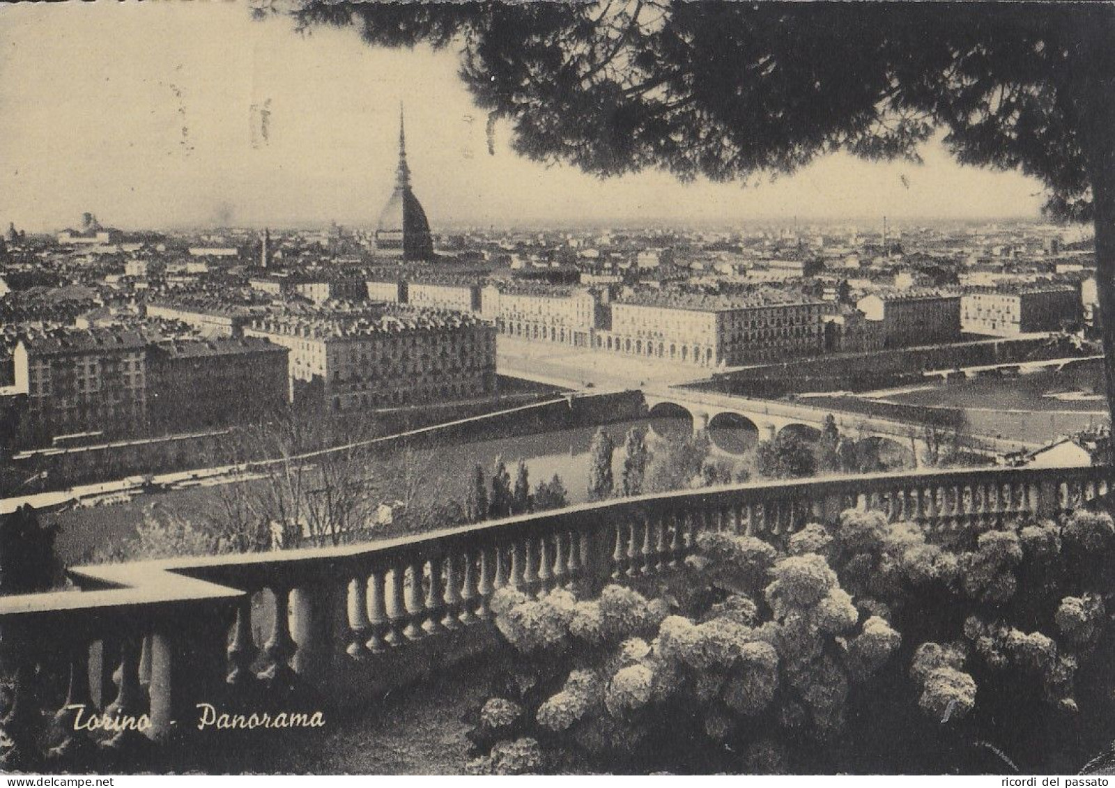 Cartolina Torino - Panorama - Tarjetas Panorámicas