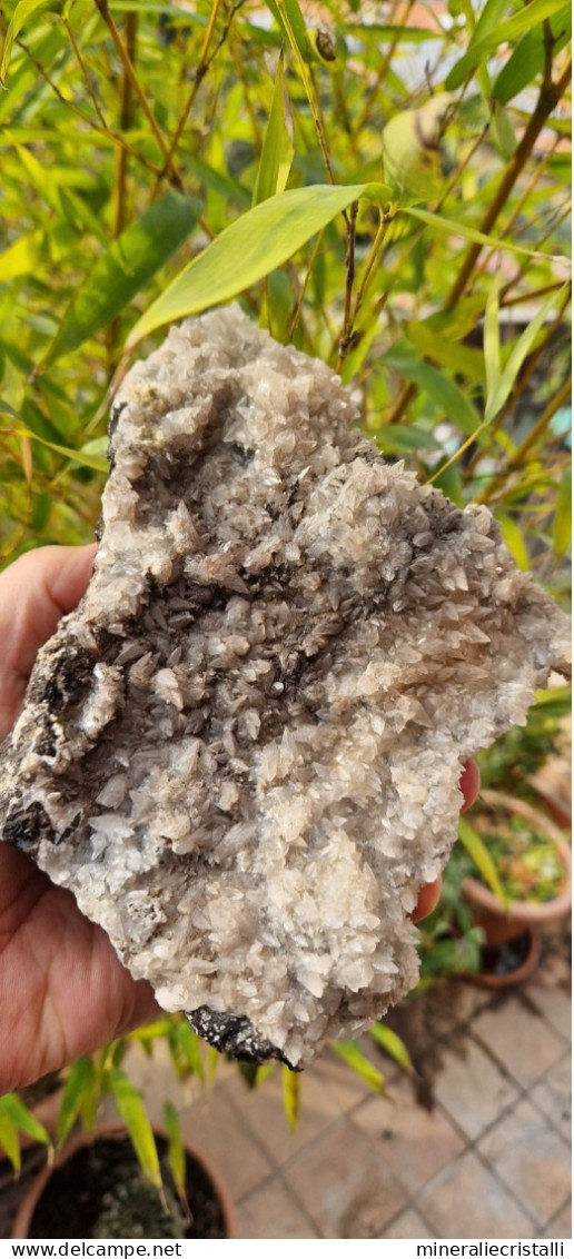 Calcite Siderite Cristalli Su Matrice Provenienza Brosso  Da Museo Peso 1,3 Kg  20x12 Cm - Minerals