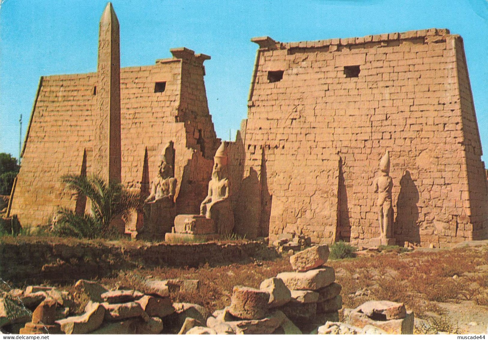 EGYPTE - LUXOR TEMPLE - Luxor