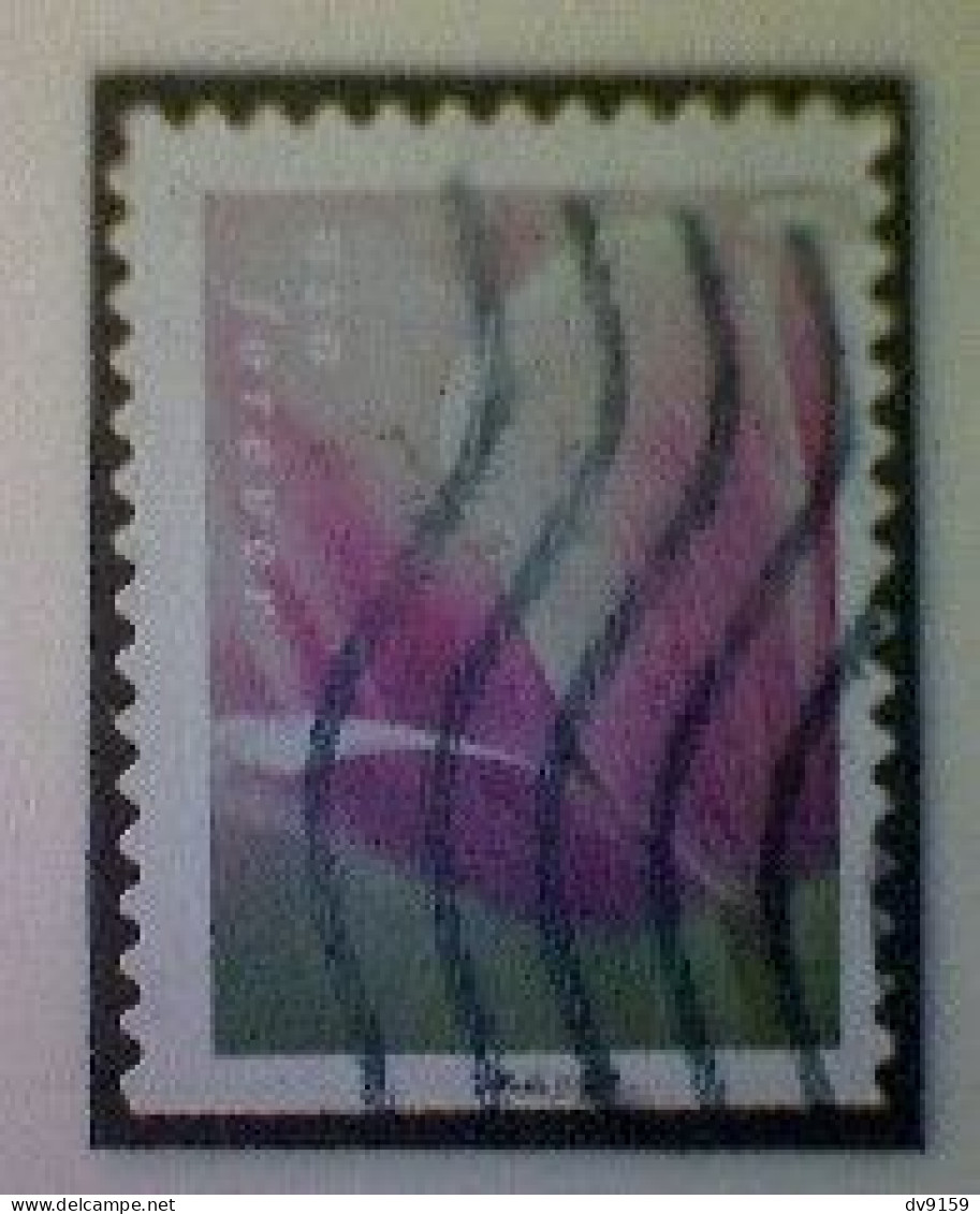 United States, Scott #5785, Used(o), 2023, Tulip Blossom, (63¢), Multicolored - Gebruikt