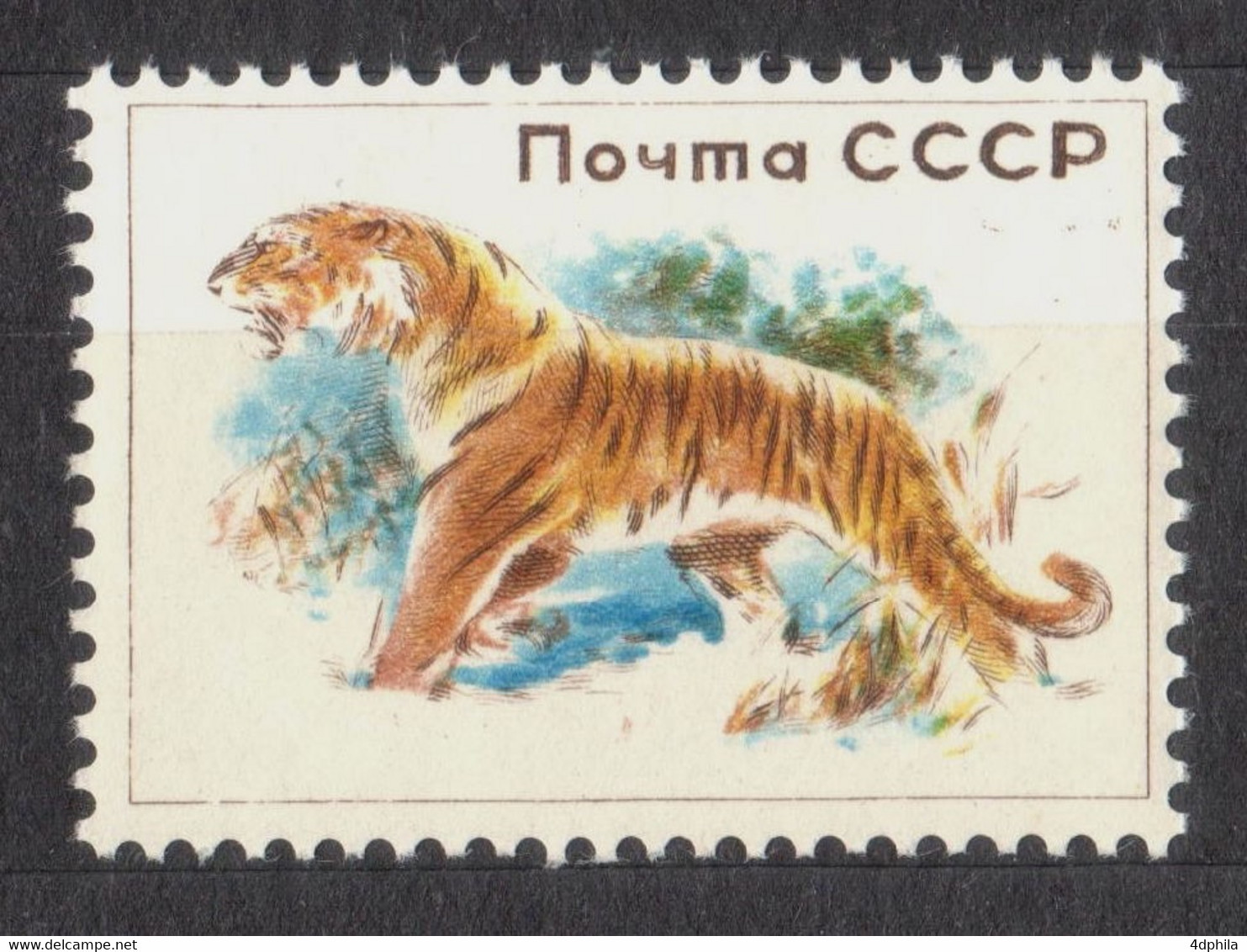 RUSSIA (USSR) 1960 Tiger - 1 Dummy Stamp - Specimen Essay Proof Trial Prueba Probedruck Test - Essais & Réimpressions