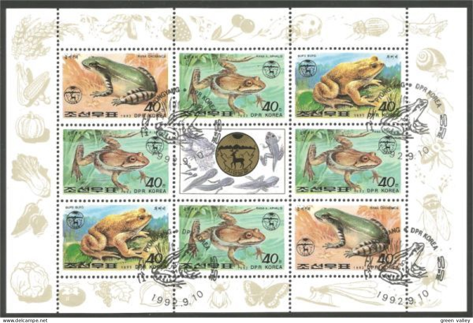 Korea Frogs Grenouilles Ranas Frösche (A50-264b) - Grenouilles