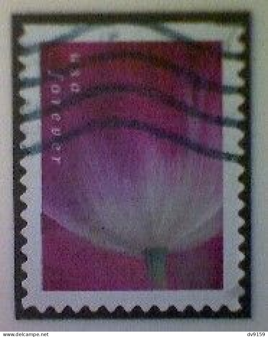 United States, Scott #5781, Used(o), 2023, Tulip Blossom, (63¢), Multicolored - Used Stamps