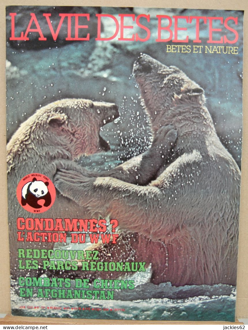 251/ LA VIE DES BETES / BETES ET NATURE N° 251 Du 6/1979 Voir Sommaire - Animaux