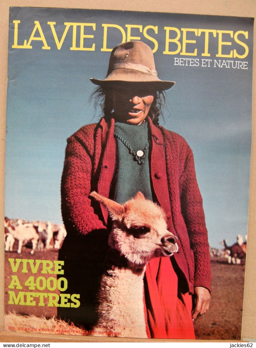 249/ LA VIE DES BETES / BETES ET NATURE N° 249 Du 4/1979 Voir Sommaire - Animals