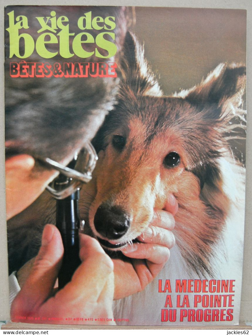 247/ LA VIE DES BETES / BETES ET NATURE N° 247 Du 2/1979 Voir Sommaire - Animaux