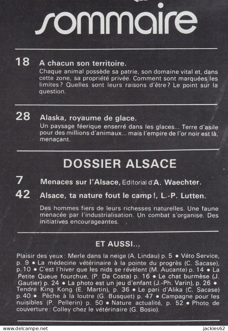 247/ LA VIE DES BETES / BETES ET NATURE N° 247 Du 2/1979 Voir Sommaire - Animaux