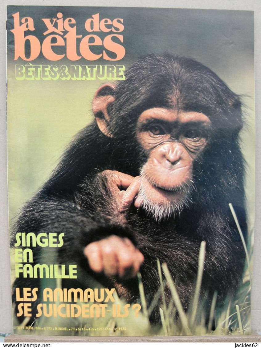 242/ LA VIE DES BETES / BETES ET NATURE N° 242 Du 9/1978 Voir Sommaire - Tierwelt