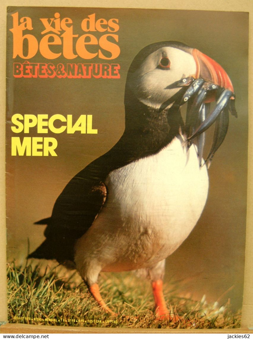 240/ LA VIE DES BETES / BETES ET NATURE N° 240 Du 7/1978 Voir Sommaire - Animals