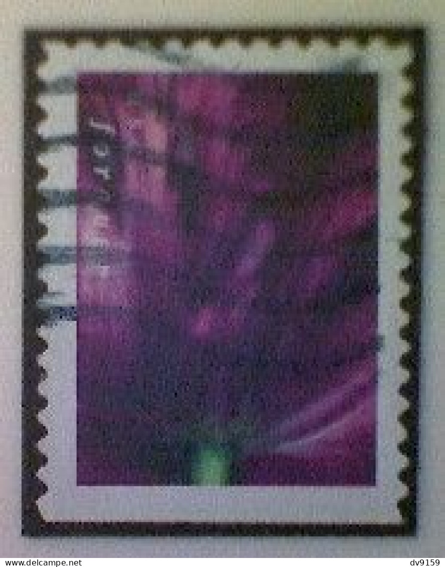 United States, Scott #5784, Used(o), 2023, Tulip Blossom, (63¢), Multicolored - Gebraucht